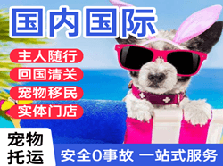 首都航空物流国际宠物托运 【国